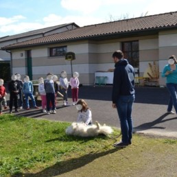 Thomas éducateur canin Bordeaux formation PECCRAM