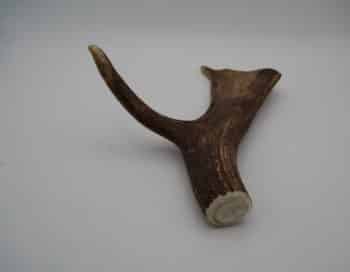 Mastication naturelle pour chien