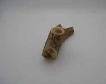 Mastication naturelle pour chien
