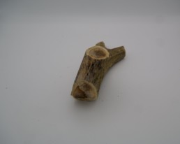 Mastication naturelle pour chien