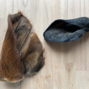 Oreilles de bœuf avec poils
