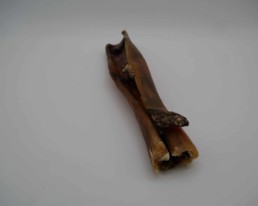 mastication naturelle chien