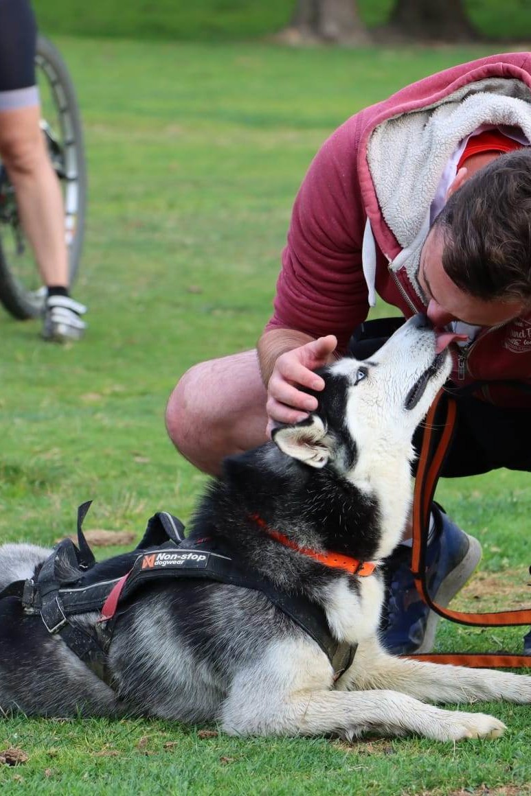 Barre cani VTT Inlandsis pour chien - Pole canin Bordeaux