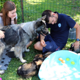 Accompagnement en elevage canin