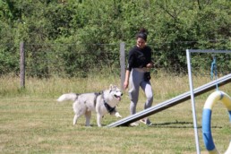 educateur canin merignac