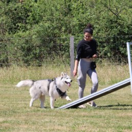 educateur canin merignac