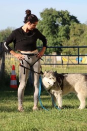 centrre education canine bordeaux