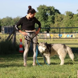 centrre education canine bordeaux