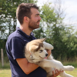educateur canin bordeaux