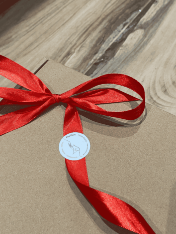 Chien heureux recevant sa box de Noël remplie de jouets et friandises naturelles Pôle Canin Bordeaux