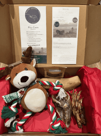Contenu de la box de Noël pour chien avec peluche festive, friandises naturelles et gourmandises saines