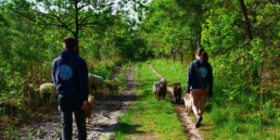 promeneur de chien en balade collective a bordeaux