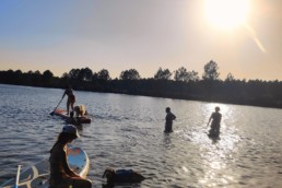 activité chien bordeaux