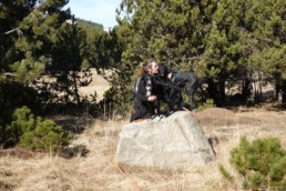 petsitter bordeaux merignac