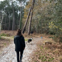 recherche utilitaire gironde