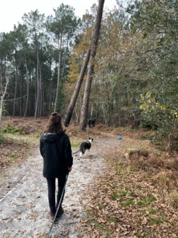 recherche utilitaire gironde