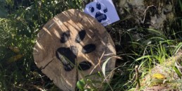 totem caché chasse aux trésors