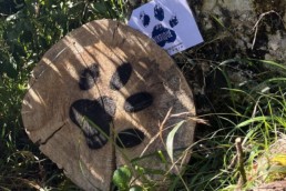 totem caché chasse aux trésors