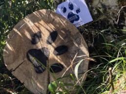 totem caché chasse aux trésors