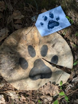 totem chasse aux trésors