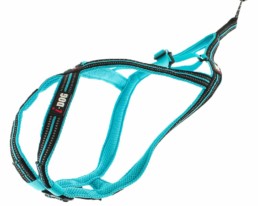 Harnais Canicross X-Back ONE 2 – Harnais de traction pour chien – Disponible en rose, bleu et orange – Pôle Canin Bordeaux