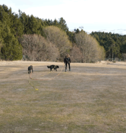 Julie petsitter rive droite de Bordeaux
