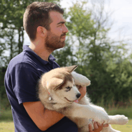 Thomas cynologiste &eacute;ducation canine Nord Gironde