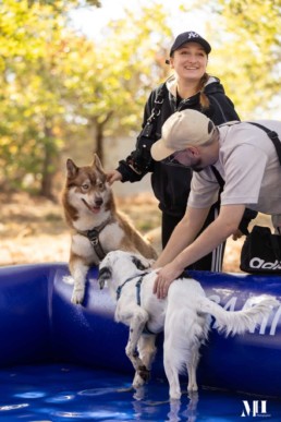 parc d'attraction pour chien a bordeaux